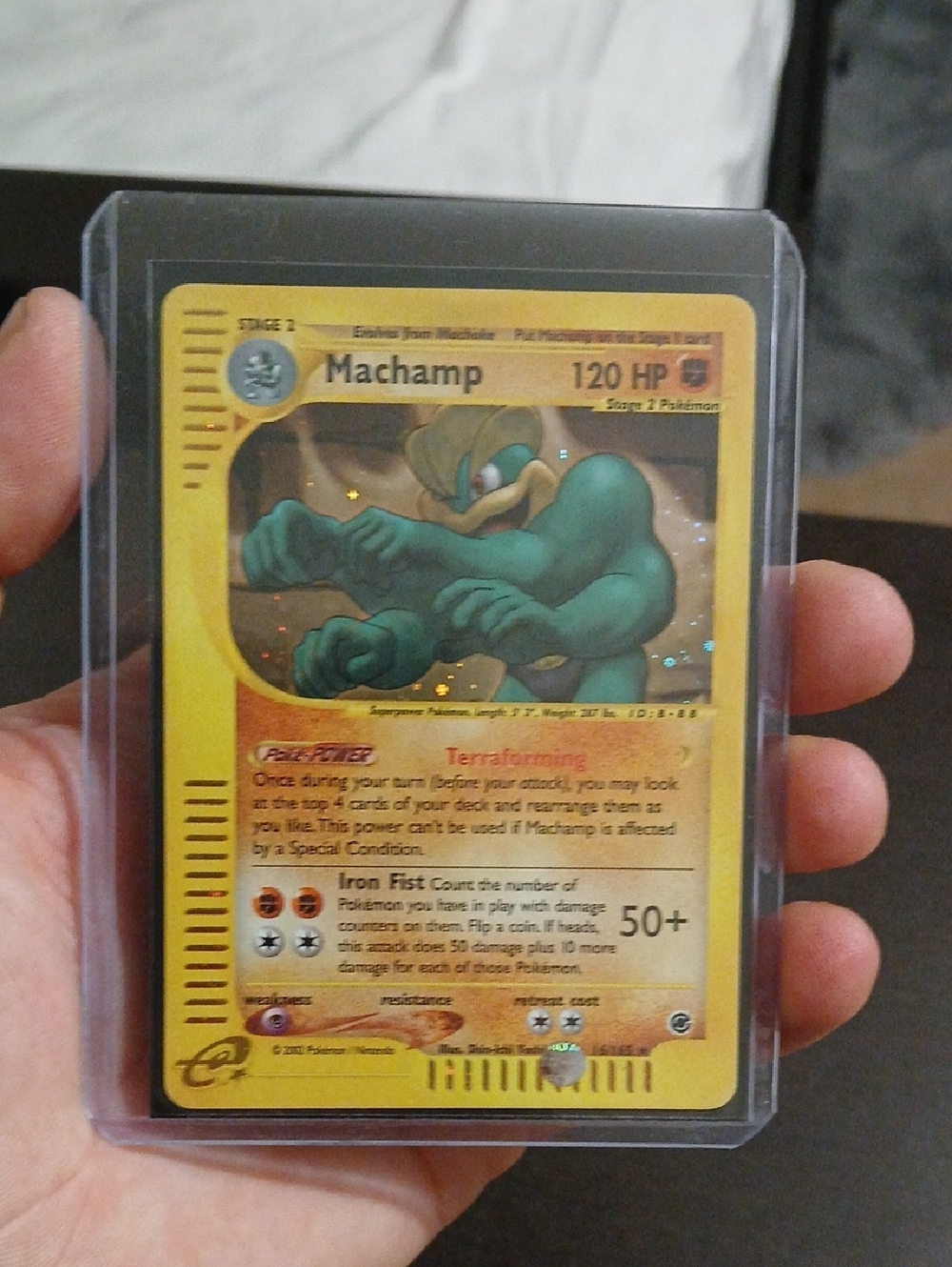 Machamp - Picture 3 of 3